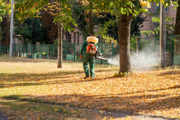 Best Commercial Pest Control Services  in Mount Olive, NC